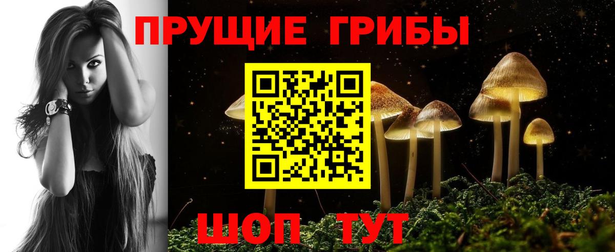 Галлюциногенные грибы Cubensis  Вход с VPN  Самара 